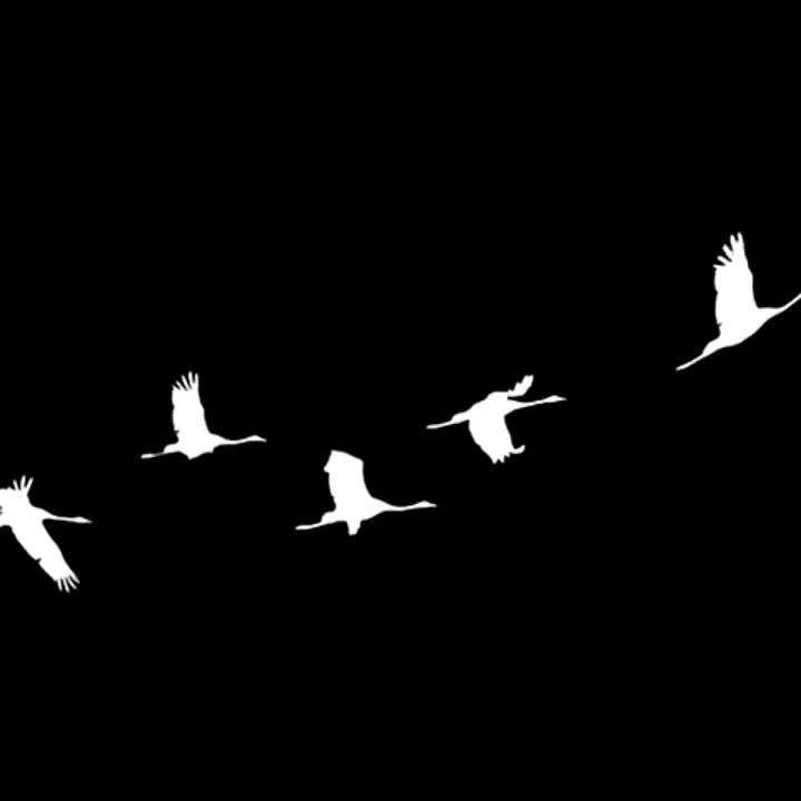 �� �������������� � ����� ������ ������ �������