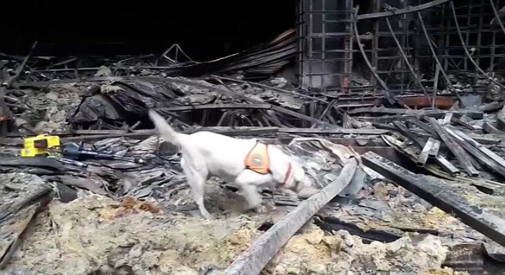 ��������� ��� ������ ���������� ������ ������� � "������ ���� �����"