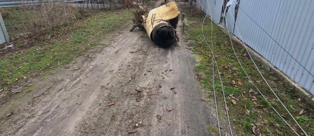 � ������������ �������� ����������� ������ "�������"