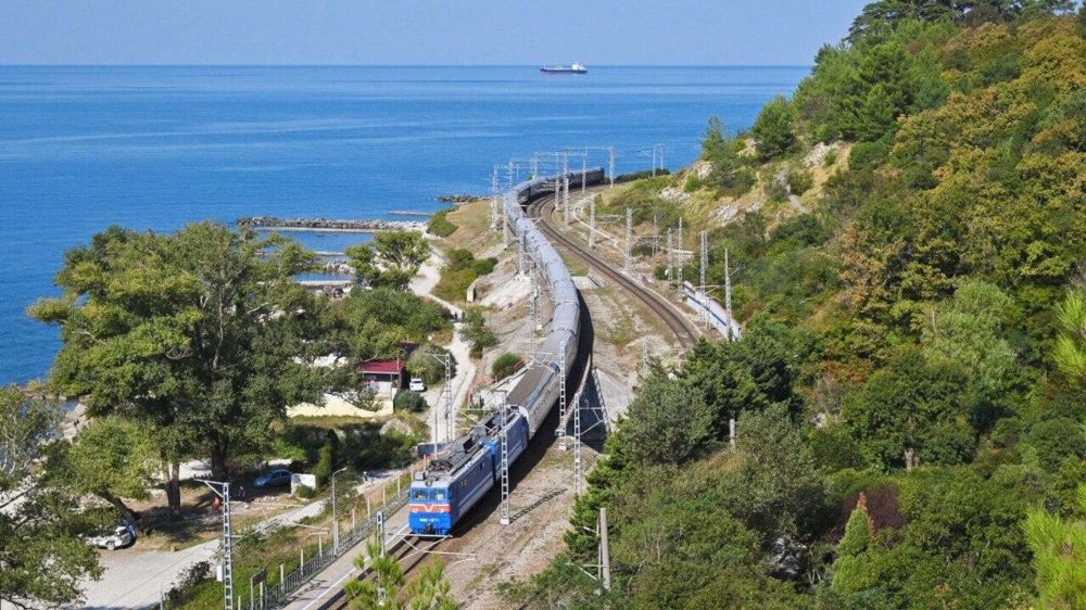 �������� ������ � ���� ����� ����� ������� �������� � ����� 2024 ���� � ������