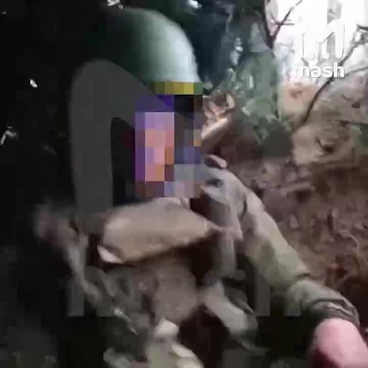 ������������ ����� ������ ���������� ��������� � ��� ������ ������ � ���������� �������