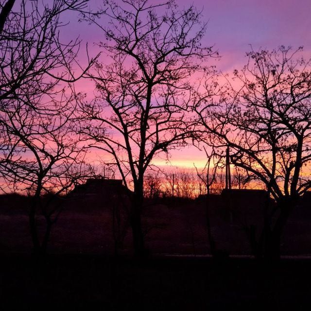 ����� ��������: ������� ������ ������ ����������� ������!