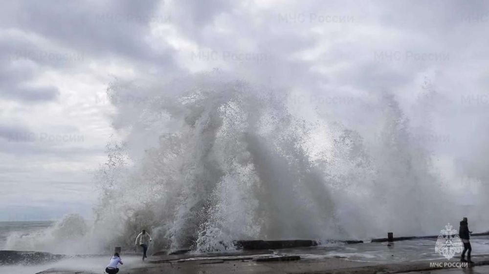 ������� �����: ������� ������� � ��������� ������������, 25 �����