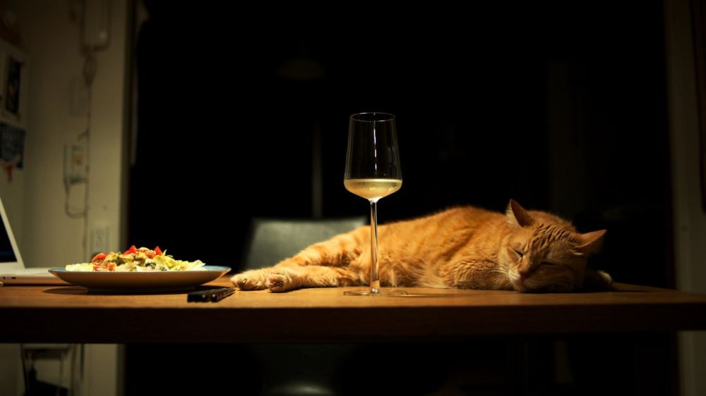 ���� ������� ������, ������!