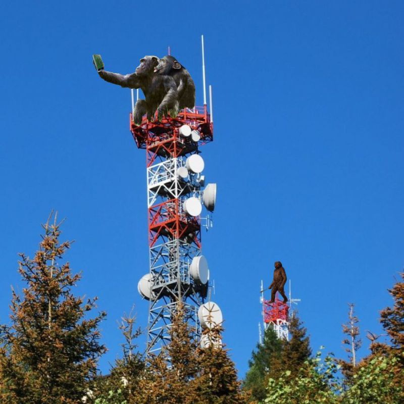 ����� ���������, ��� ����� "�����"