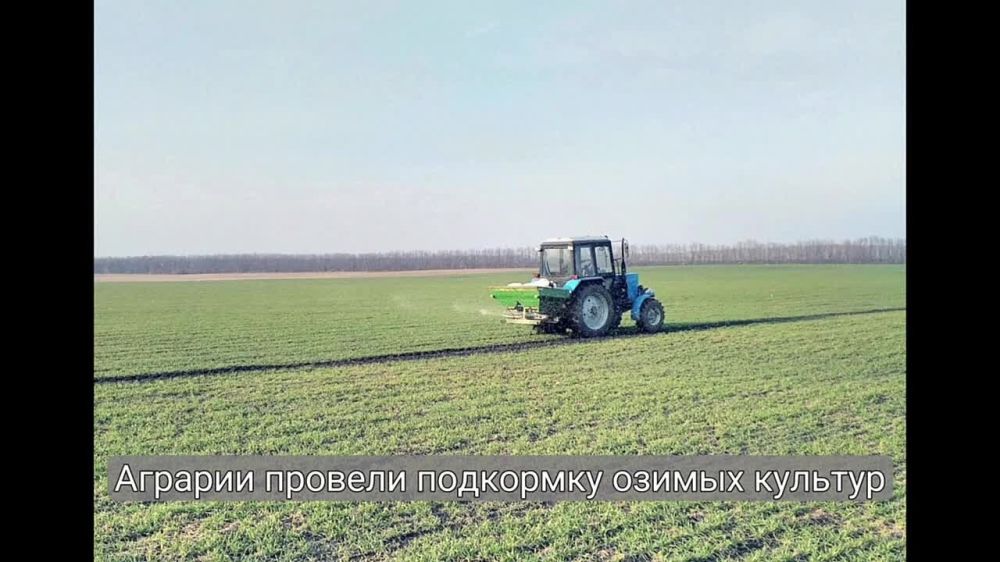 � ���������� ������ ������ ����� ���� �������-������� ������