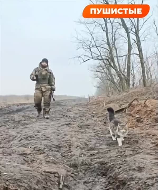 ������ ��� ���� � ������������ �����������