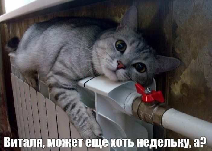 ������ ������� � ��������� ���������� ������������� ������ � ����� � 28 �����