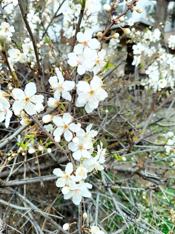 ������ ����, ��������� ������ ������ �������������� ������!