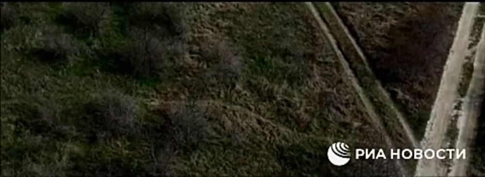 �������� ������: ���������� ������������� ������� ��������� � ����������� ���� �������� ���������� ��������������