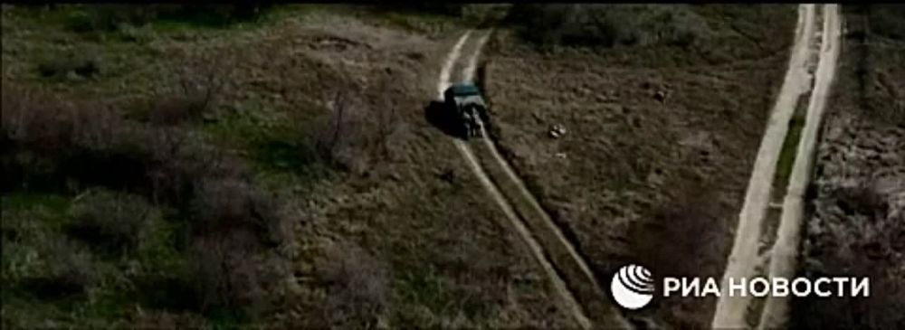 ��� ����������� � ���� ���� �������� ����������