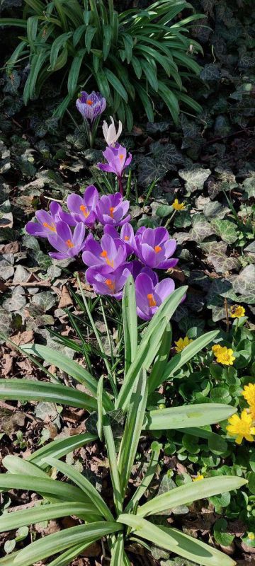 � ������ ����� �����������!