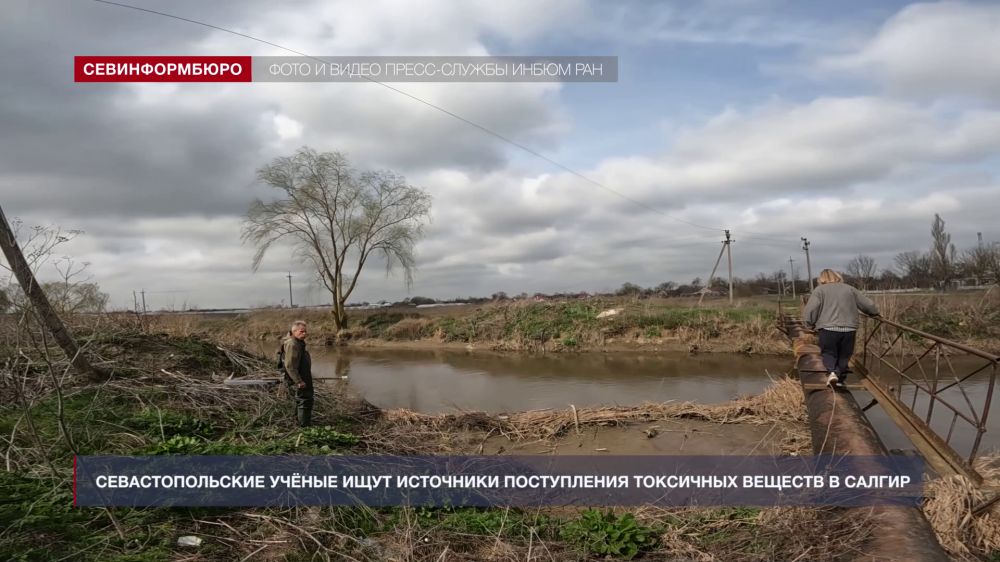 ��������������� ������ ���� ��������� ����������� ��������� ������� � ���� ������