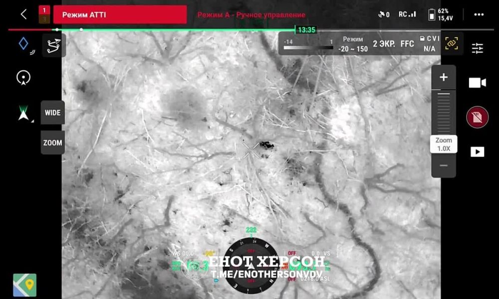 ������ �������� ���������� ���� � ������ �.� ����� ��