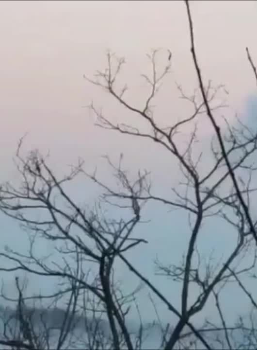 ��������� ����������� ���� ������ �������� � ���� �� �� ��������