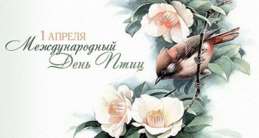 ���������� - ������� �������