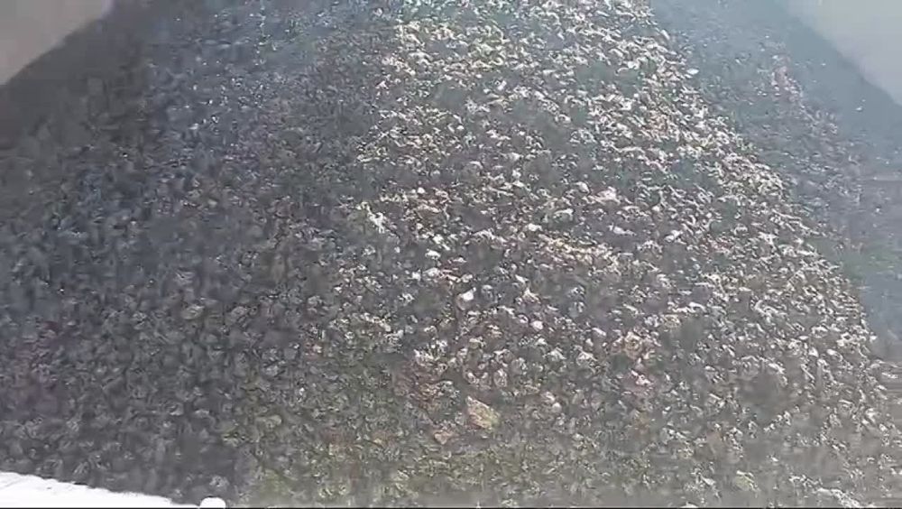 ������ ����������������� ������ ��������� � ������� ������������ ���������� �������