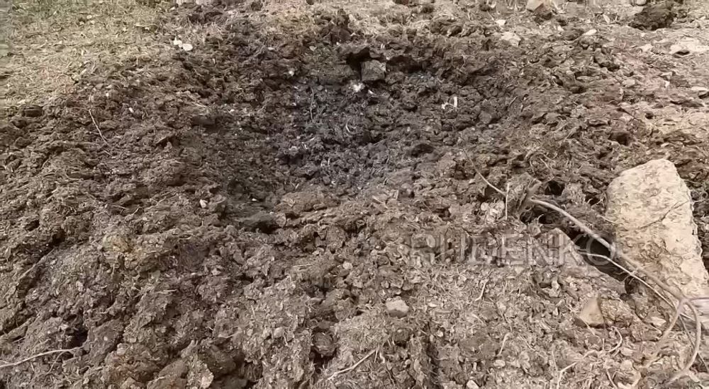 � ���������� ����������������� �������� ������ �������� ����� ������� � �������� ������� ��������� - ����������� � ���������� ���