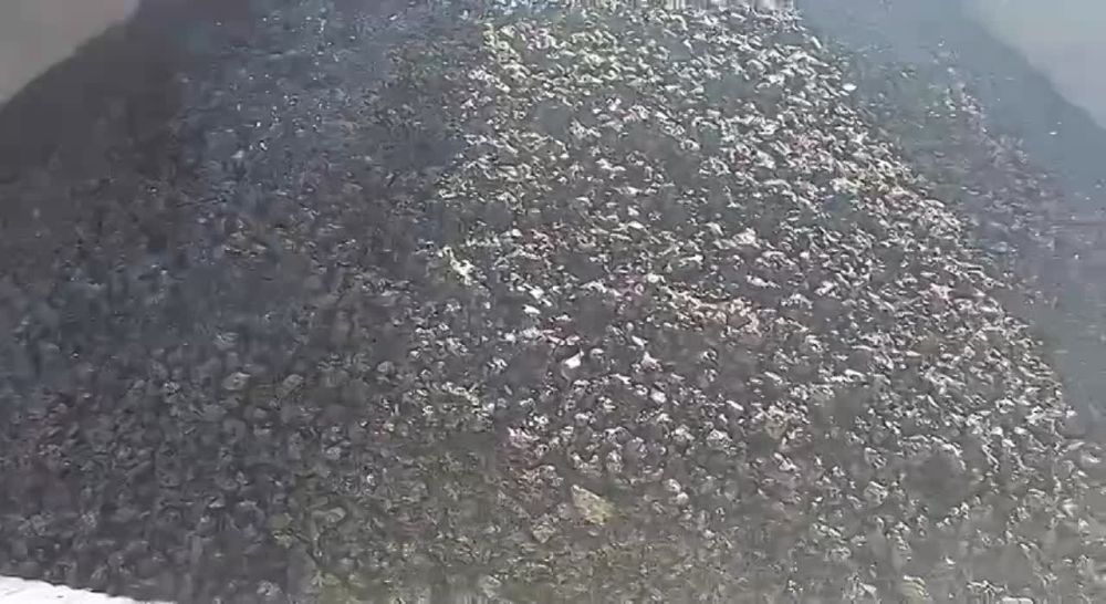 �������� ������: � �������� ������ ���. ������������ ��������� ����� ���������������� ����� ���������������� ��������� 160...