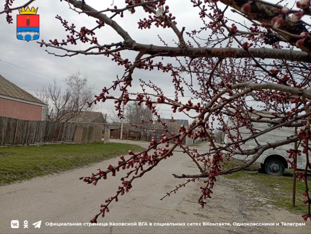 ������ ����, �������!. @VGA_Kakhovka