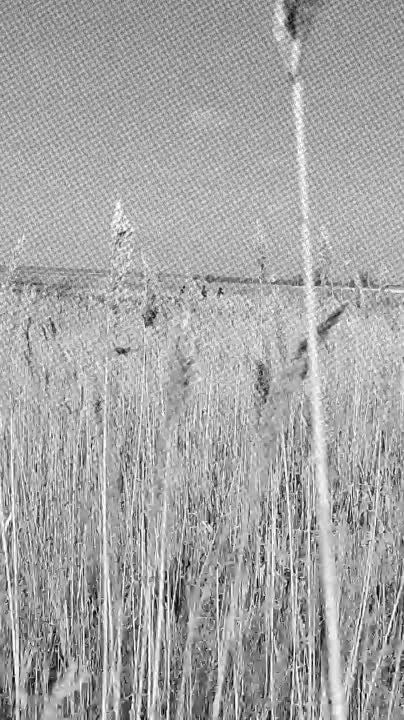 �������� ����� ����������� ���������������, ������� ���������� � �������� �� ����� ����� ���������� �������