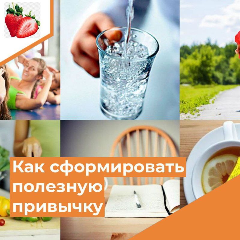 ��� ������������ �������� ��������: ����� �� 6 �����