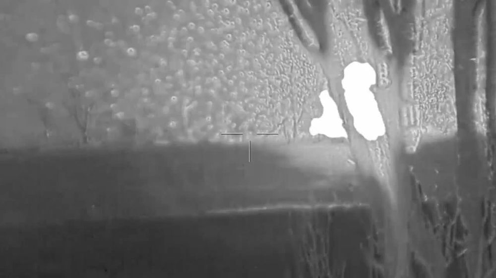 ��������� ������ ������� ���������� �� ����-�������� �����������, ������� ������ 14 ������� ���