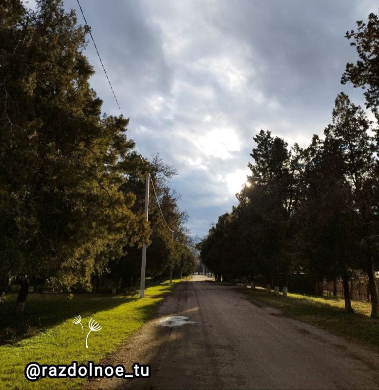 ���� ������� ������ �������������