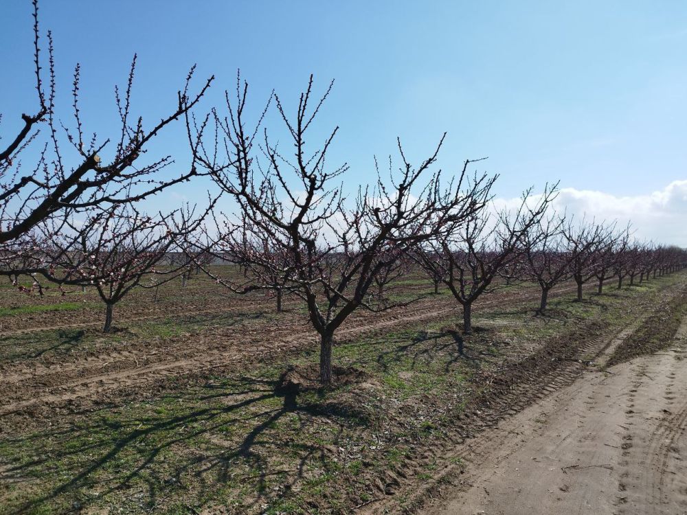 �������������������� �������������� ���������� ������ ��������� � ����� �������� ������