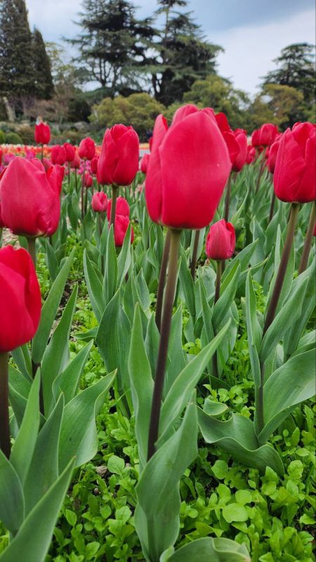 � ������ �����, �����������!