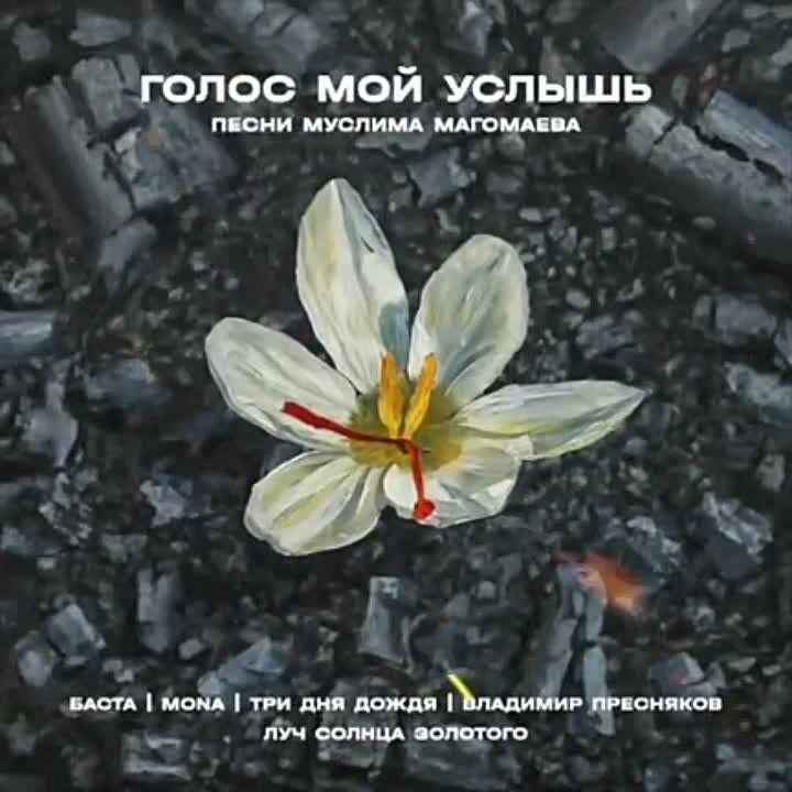 12 ����� ������� ��������� � ����� ���������� �����, ��������� ����������, ���� ����������, ������ ��������� � ������ �������� ����� ������� �� ���� ����������� ���������