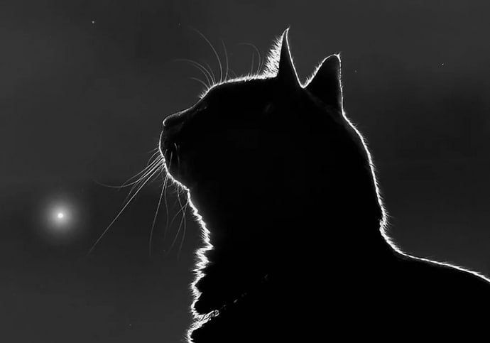 ����� � ������... ���� �������������, � � ��� � ����� ����� � ���������� ���� �����������