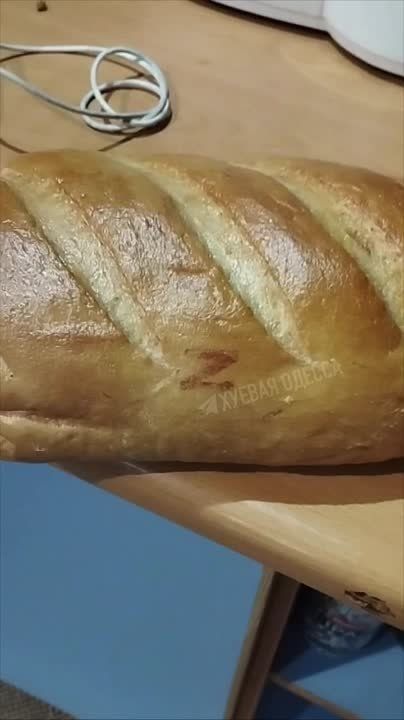 ��������� � ����: �������� �� ������� ����� �� ��������