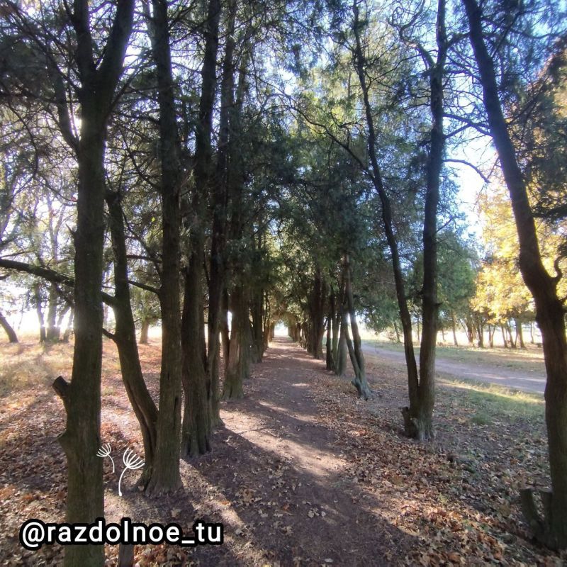 � ������ ����� ������ ���