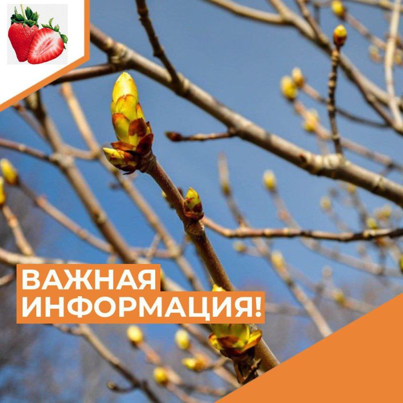 ��������� ������ �����������!