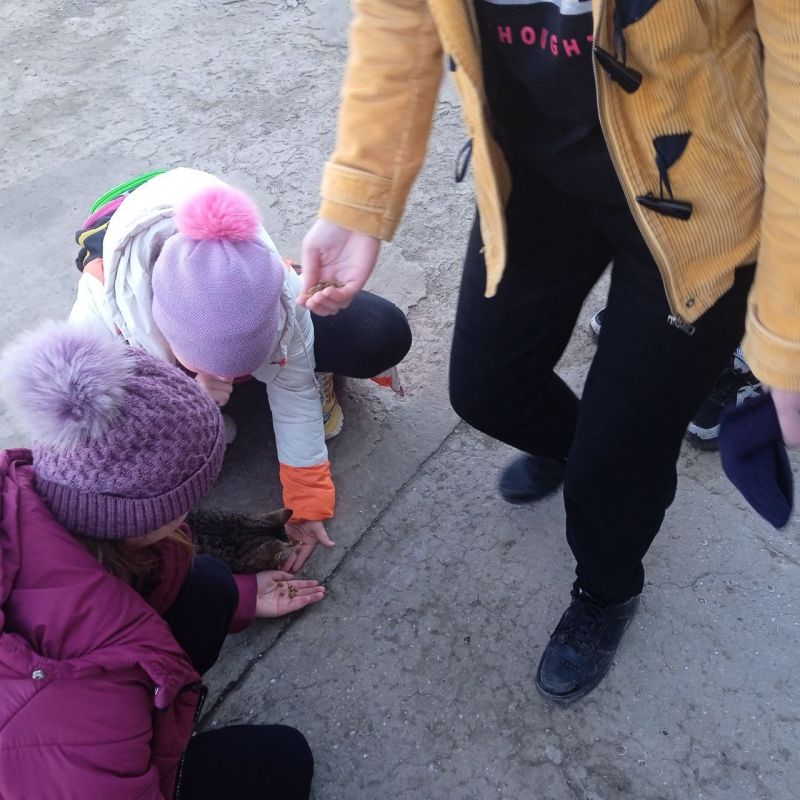 � ��������������� �������� ����� ������ ������� �������� �����