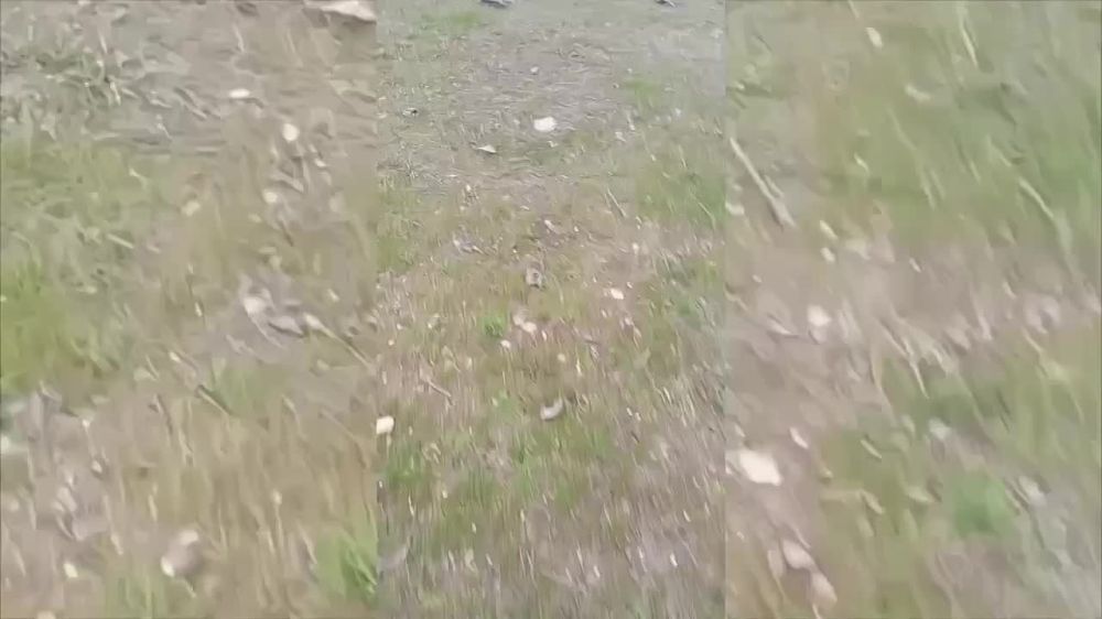 �������� ������� ���������� ������������ � �����������������, ������� �������� ������