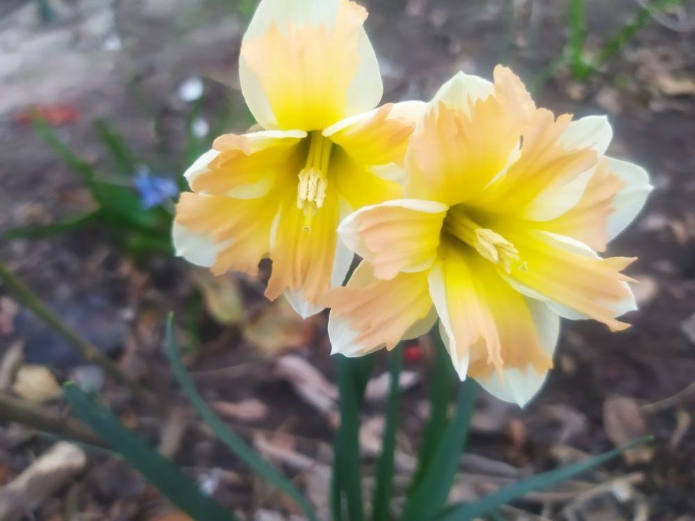 ���������� ������ �������� �����