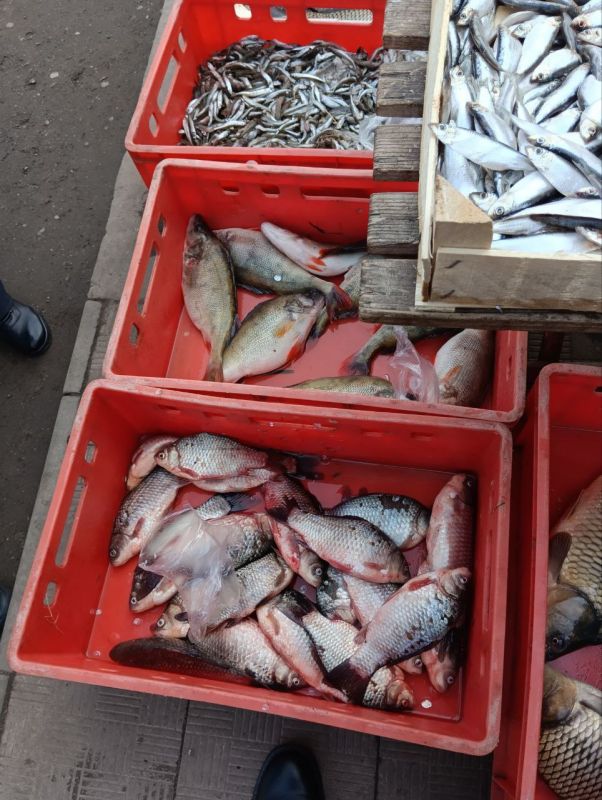 28 ����� ���������� ������� � ��������