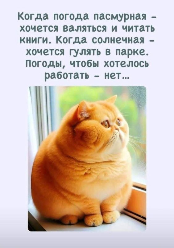 �����������, ���������, ��� ��� �� ��������� �� ��� �� ������