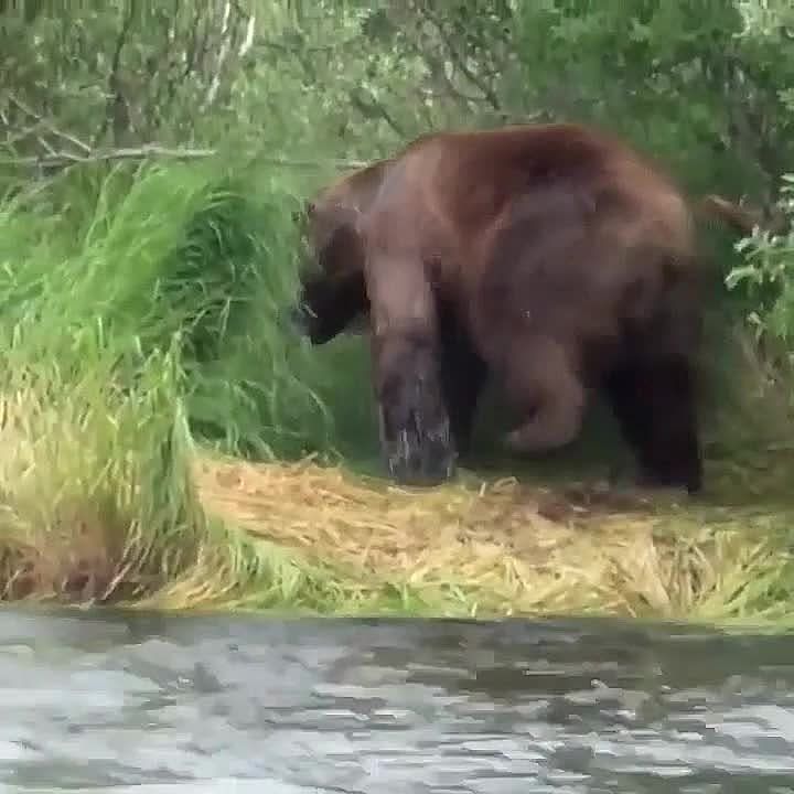 � ����� �� ��� ������� ���� � ������ �����, ��� �� ��� ������ ��������!