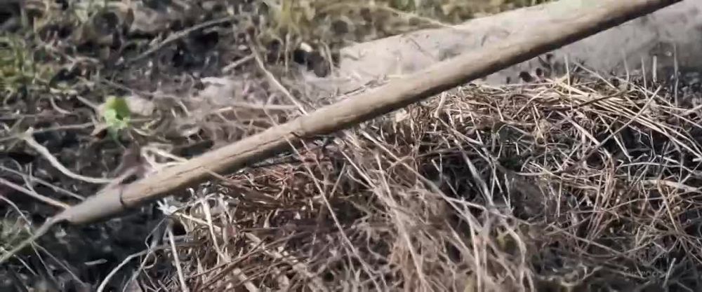 � ���������� ������� � ������ ���� ��������� 59 ����������� �������