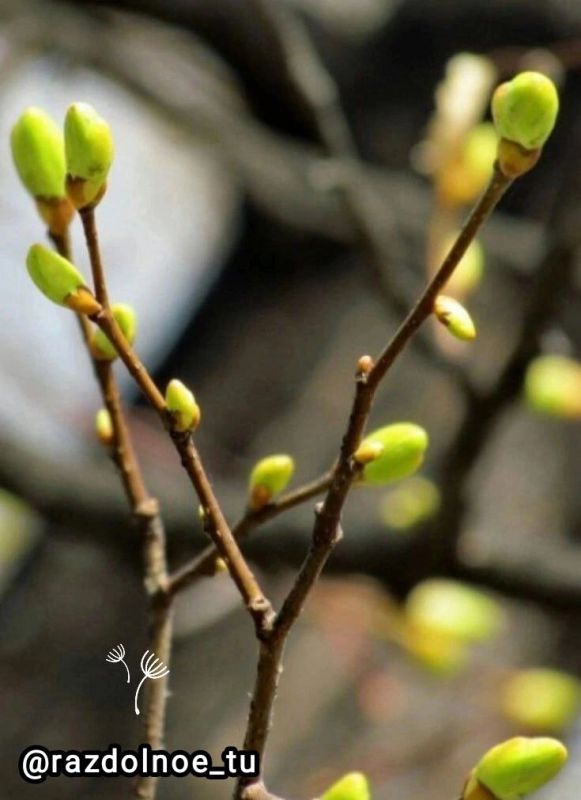 � ������� ������ ���, � ������ �����! ����� ���� ���� �������� �������, ������� � ����� ������� ��������