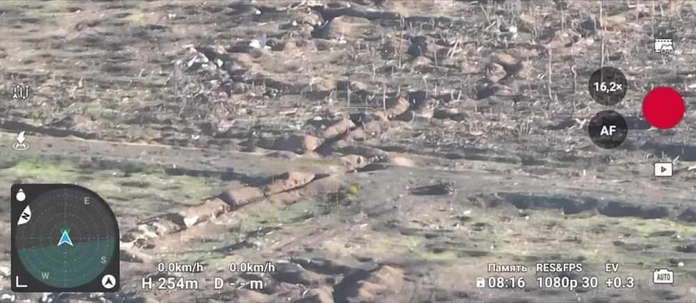 ������ ��������� FPV-������ �� ����������� ���������������