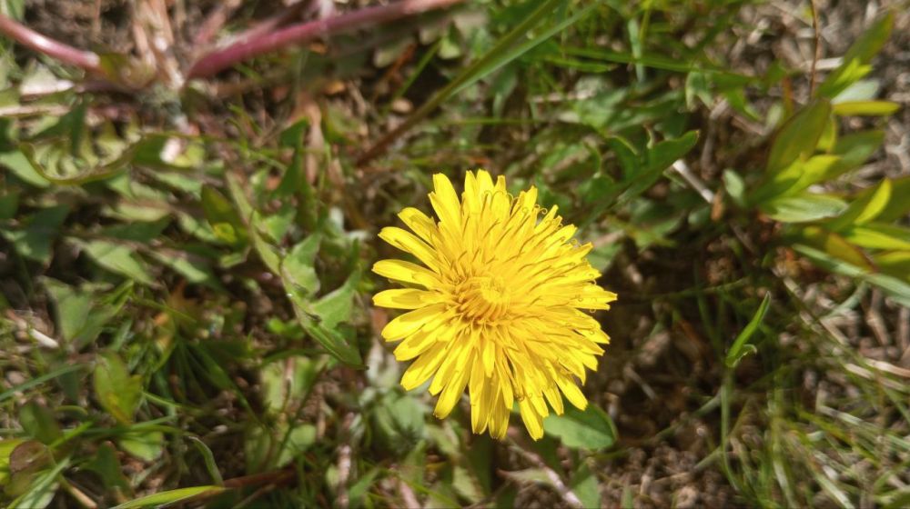 ������ ����, ������� ���������� ������ ������������� ���������� ������!