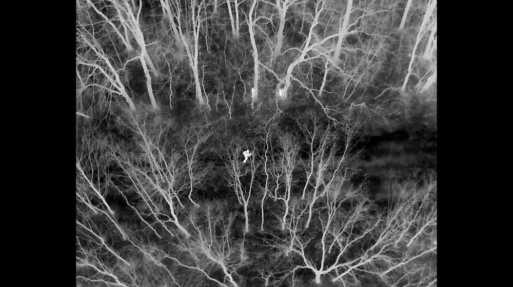 10 ��������� ���������� �������� � ������� � ������ ������