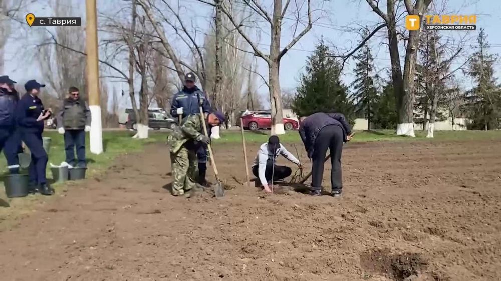 В Херсонской области высажена аллея памяти, посвященная жертвам теракта в "Крокус Сити Холле"