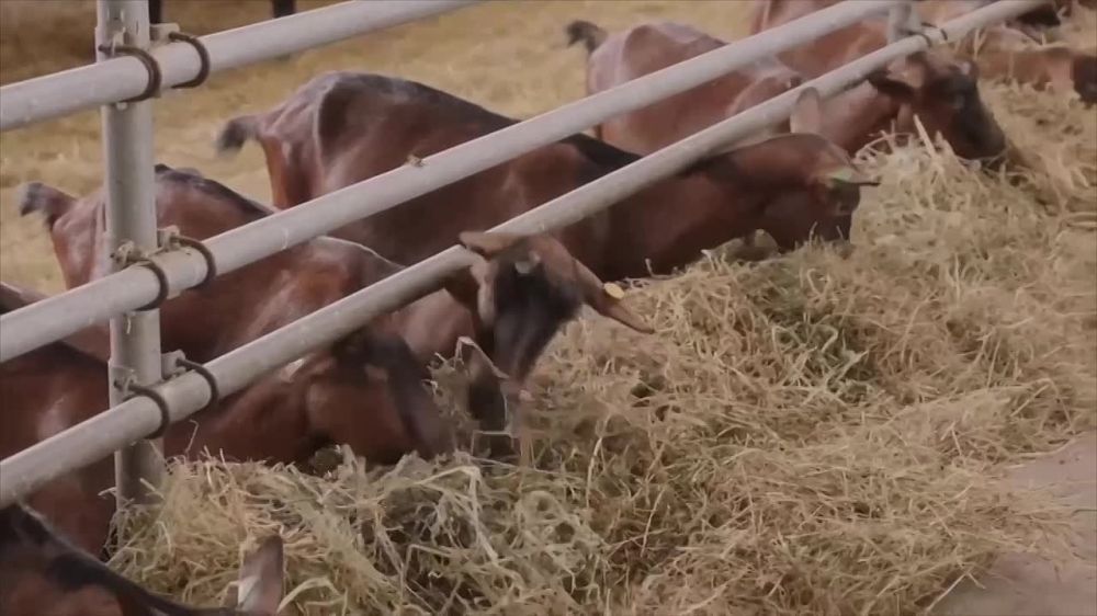 ������������� ��� �� ��������, �������������� � �������