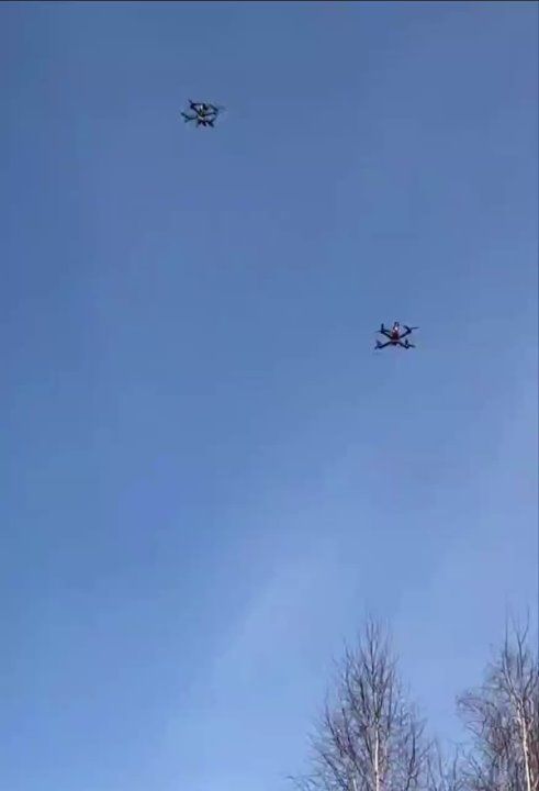 ���� ����������� �������� �� ������