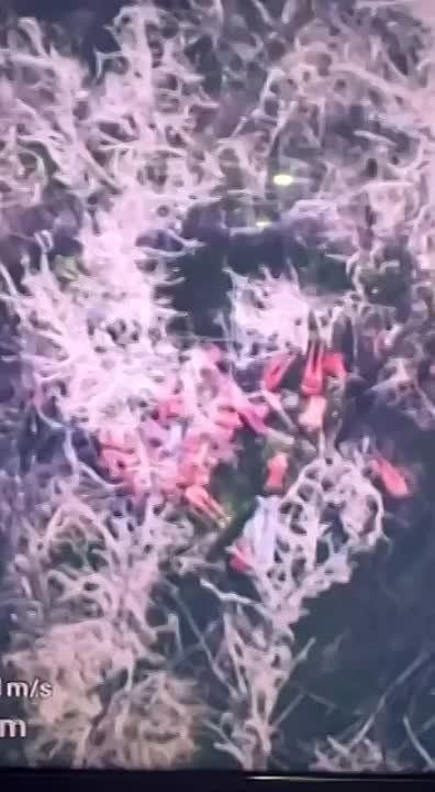 ���������� ������� � ������� ������ ������� �������� � ����� � ������ �� � �����, ����� ������ � ����������� ���������� ����